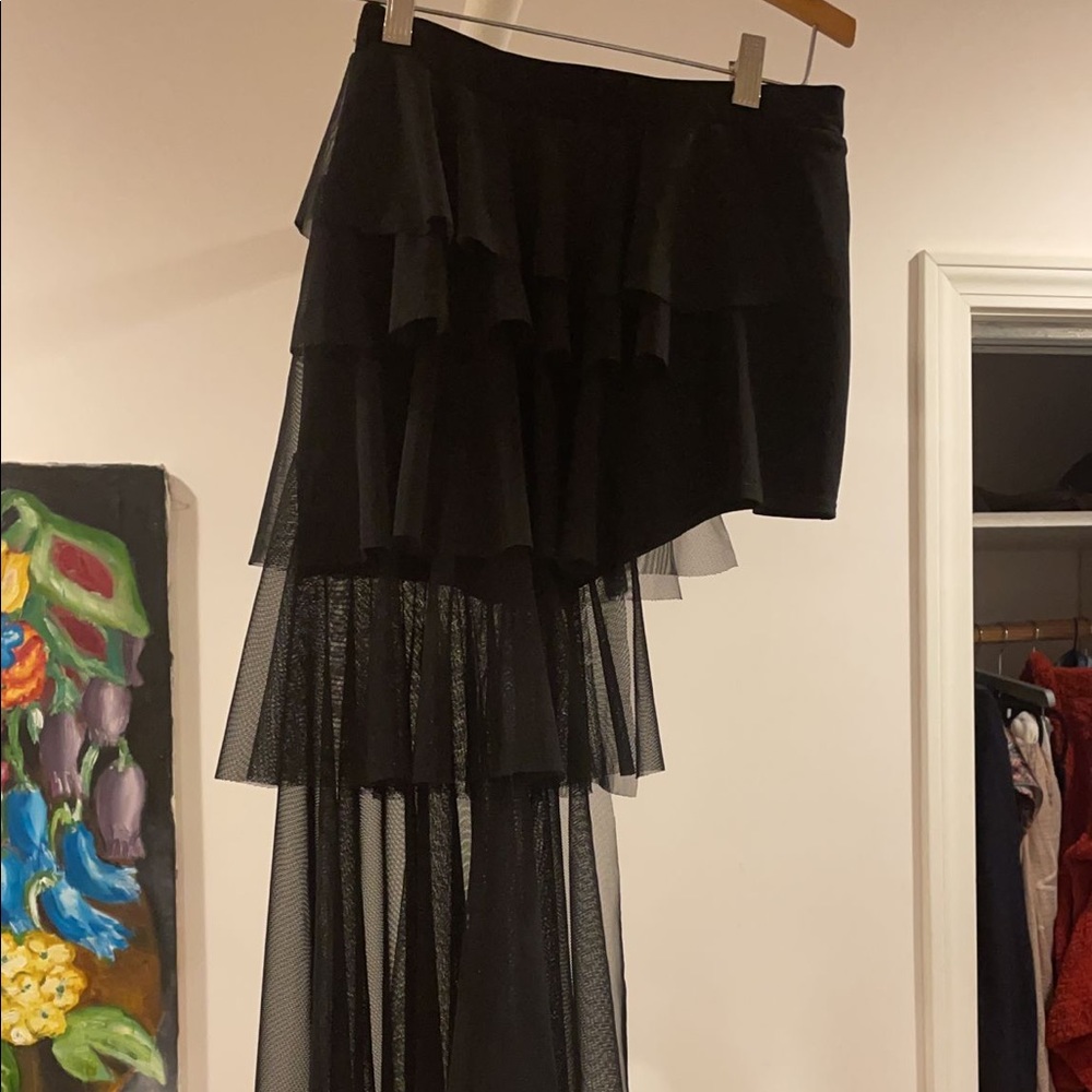 Gorgeous Latin dance skirt by talisman. Only worn once. No signs of wear.